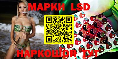 мяу мяу мука Тверь
